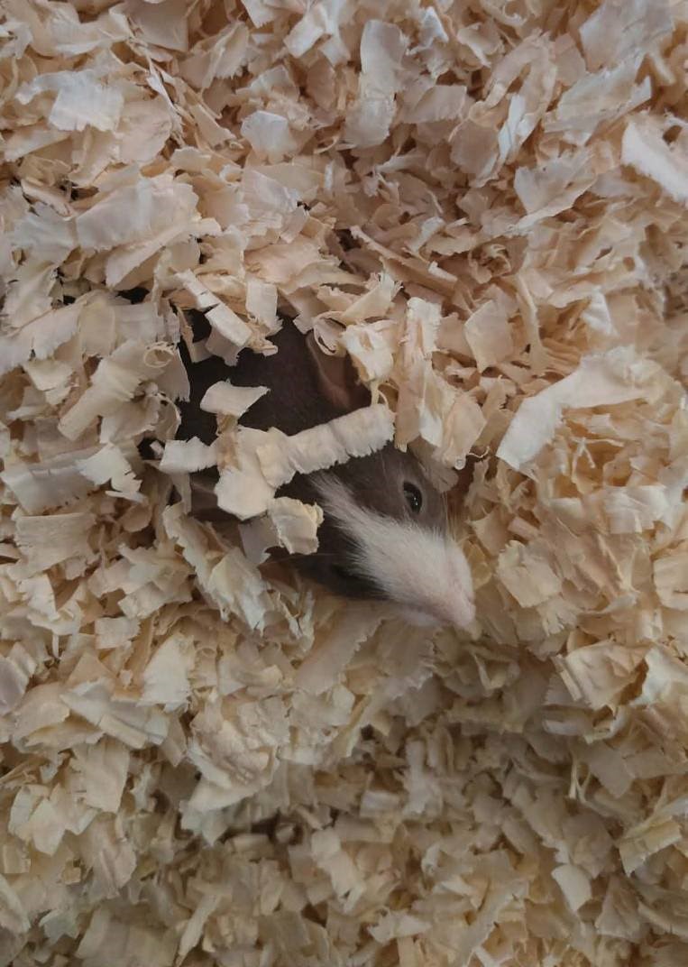 7a59bfee055dae6606f872cb553ee587080e3e27 1