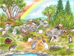 8baca34a28da042c71476cf1264c24a2