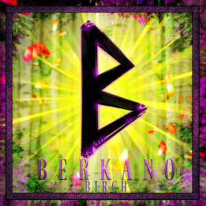 berkano rune series by derectum ddqjpb3 pre