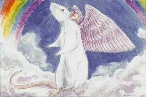 d02c6b6a3fcef30e074df0f05f5ead63