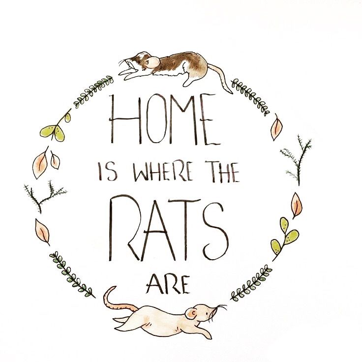 fdacb22f4984fb549335fe2c0573dade