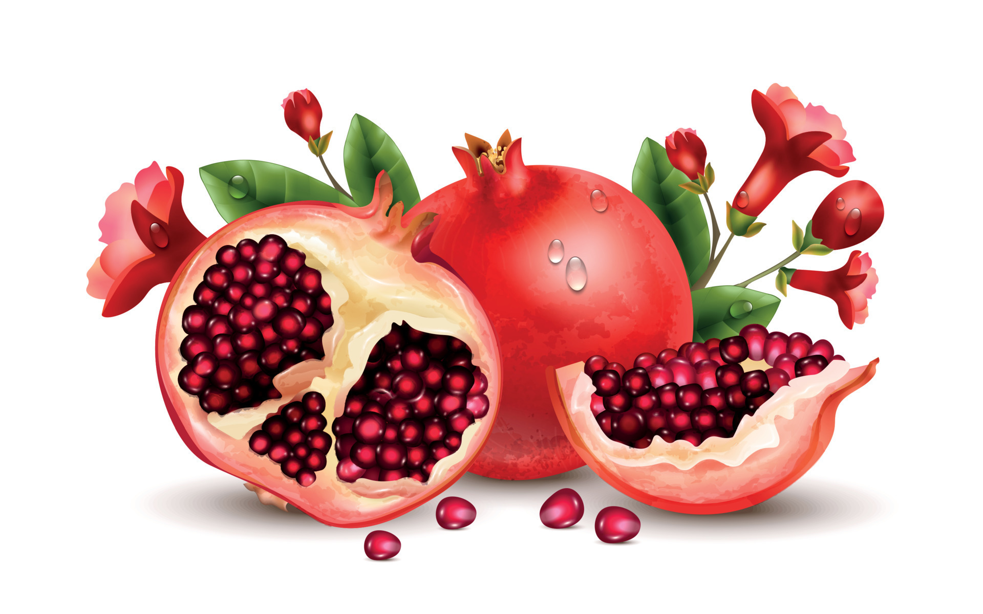 pomegranate realistic concept vector