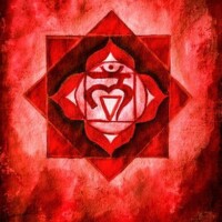 Gallery 1c63c656d80fd428bf028100d6d34af2