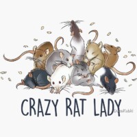 Gallery 2e5c88a4e1a4b3145404c9c9ecd63828