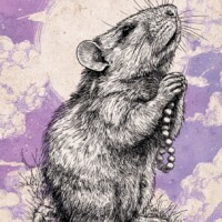 Gallery 3e1d23757c622bf46ed00ad04aa8ef79