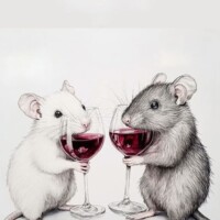 Gallery 61d3c0a89b739f40cd2ad77a4257f43d