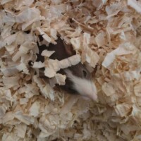 Gallery 7a59bfee055dae6606f872cb553ee587080e3e27 1