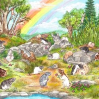 Gallery 8baca34a28da042c71476cf1264c24a2