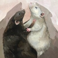 Gallery beb5f38e83694c410cd7e69f83c73608