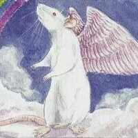 Gallery d02c6b6a3fcef30e074df0f05f5ead63