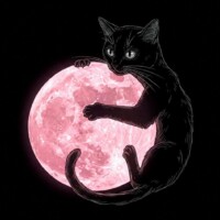 Gallery efa872d0d53ea5cf5ad3dc91b042506a