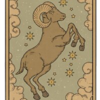 Gallery fca82267199e6a74243d1b1a74730b24