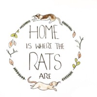 Gallery fdacb22f4984fb549335fe2c0573dade